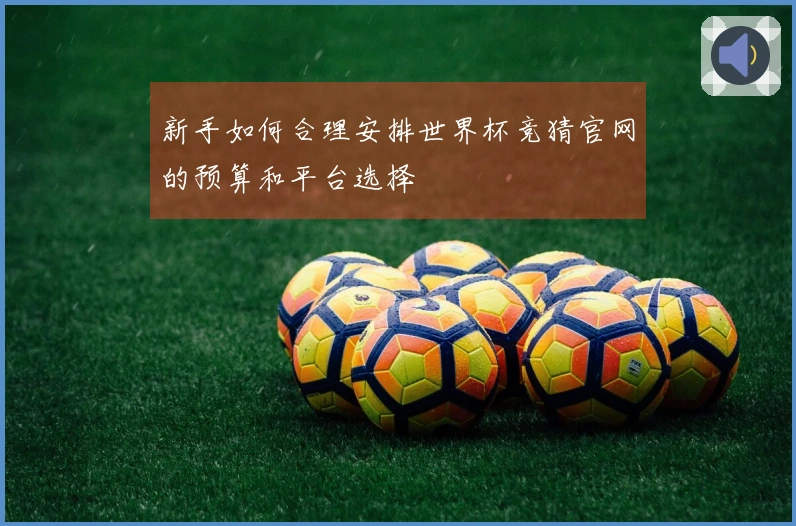 新手如何合理安排世界杯竞猜官网的预算和平台选择