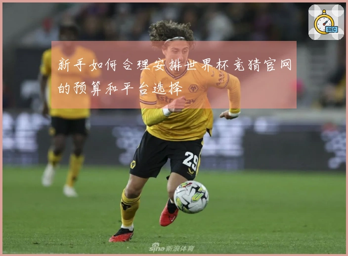 新手如何合理安排世界杯竞猜官网的预算和平台选择