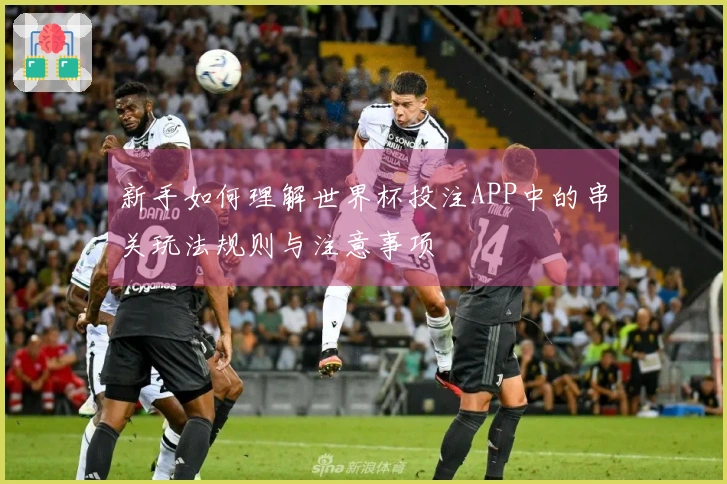 新手如何理解世界杯投注APP中的串关玩法规则与注意事项